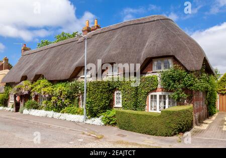 Blick auf die Straße der traditionellen englischen Land Reethütte dekoriert mit Pflanzen und blühende Blumen im ländlichen Südengland Großbritannien Stockfoto