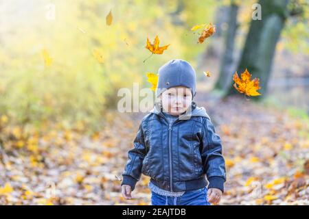 Netter kleiner Junge läuft unter fallenden Herbstblättern im Freien. Stockfoto