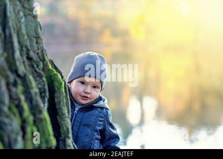 AdorabÅ¯e kleine Junge ist Blick aus hinter einem Baum Kofferraum Stockfoto