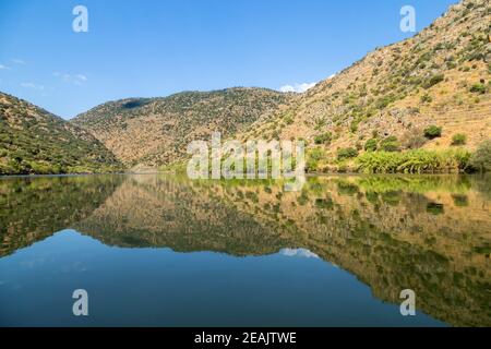 Landschaftlich schöner Blick auf das Douro-Tal und den Fluss Stockfoto