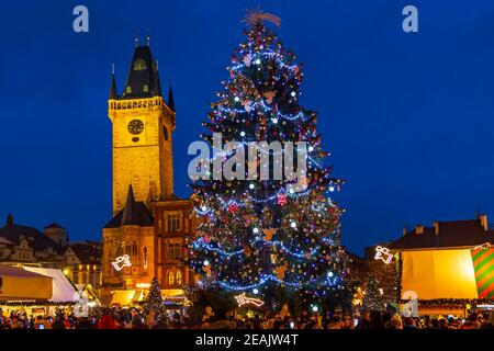 Weihnachtsbaum auf dem Altstädter Ring in Prag, Tschechische Republik Stockfoto