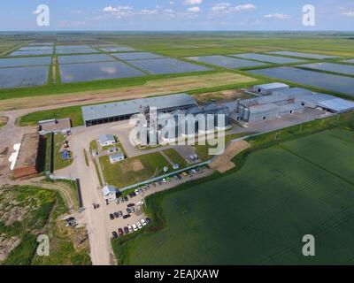 Anlage zur Trocknung und Lagerung von Getreide. Ansicht von oben. Getreide Terminal. Stockfoto