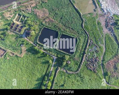 Kläranlage in der Nähe der Stadt Abwasser dump Stockfoto