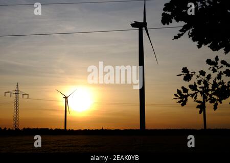 Windturbinen im Sonnenuntergang stehen auf einem Feld Stockfoto