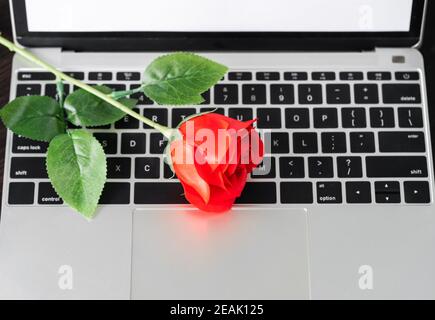 Rote Rose und der Laptop an Deck Stockfoto