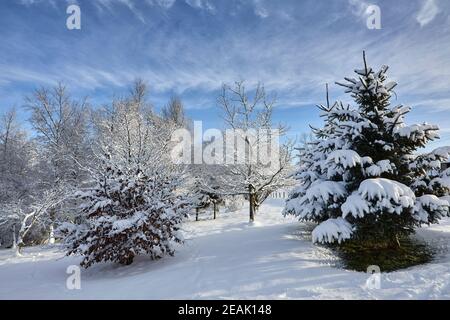 Besonders verschneite Aussicht auf die Yorkshire Moorland kleinbäuerlichen Garten 900ft Stockfoto