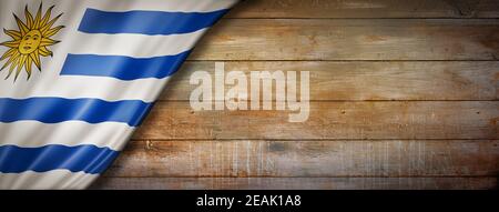 Uruguaische Flagge auf Vintage Holz Wandbanner Stockfoto