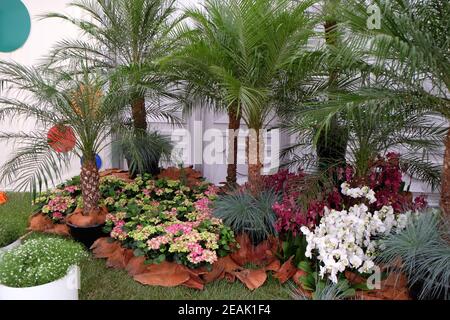 Blumen auf Floraart ausgestellt, 50 internationale Gartenausstellung in Zagreb, Kroatien Stockfoto