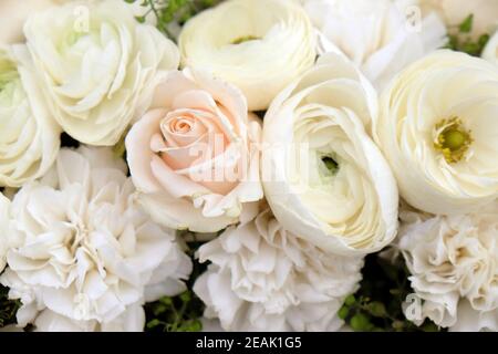 Blumen auf Floraart ausgestellt, 50 internationale Gartenausstellung in Zagreb, Kroatien Stockfoto