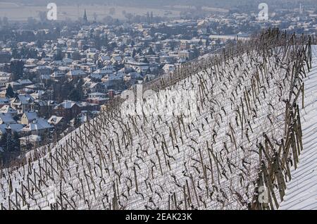 Radebeul, Deutschland. Februar 2021, 10th. Die Weinberge und die Dächer der Häuser sind mit Schnee bedeckt. Quelle: Robert Michael/dpa-Zentralbild/dpa/Alamy Live News Stockfoto