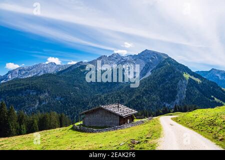 Blick auf die Litzlalm in den Alpen, Österreich Stockfoto