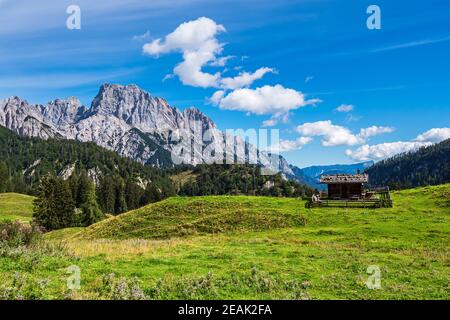 Blick auf die Litzlalm in den Alpen, Österreich Stockfoto