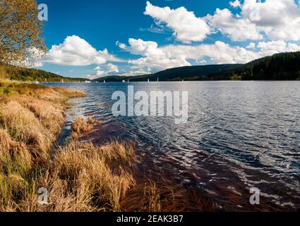 Blick auf den Schluchsee im Schwarzwald, Baden-Württemberg, Deutschland. September. Stockfoto