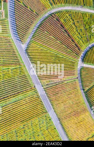 Weinberge Wein Herbst Saison Luft Foto Ansicht Hochformat Stockfoto