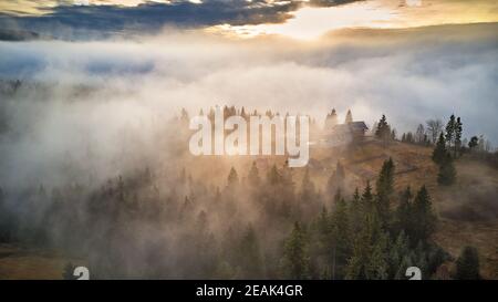 Wald bedeckt von niedrigen Wolken. Nebliger Herbstwald. Malerisches Resort Karpaten Bereich. Novembermorgen. Stockfoto