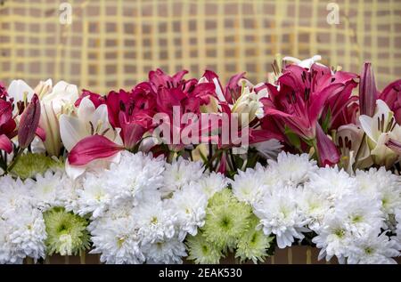 Schönheit floristische Dekoration mit weißen Gerbera und rote Lilie Blumen Stockfoto