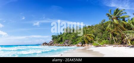 Seychellen Anse Georgette Strand Praslin Insel Palme Panoramablick Urlaub Meer Stockfoto