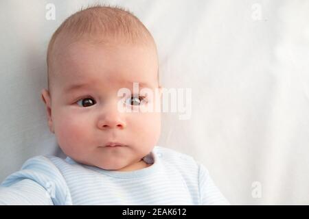 drei Monate altes Baby eingehüllt in blaue Decke Stockfoto