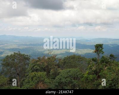 Grüner Wald und Berge auf dem Hintergrund des weißen Himmels Und Wolken Stockfoto