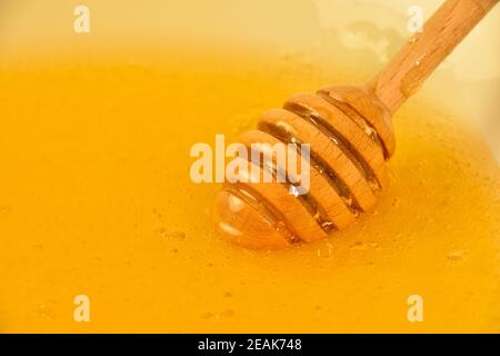 Nahaufnahme der hölzernen Dipper in der Honigschale Stockfoto