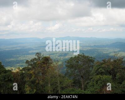 Grüner Wald und Berge auf dem Hintergrund des weißen Himmels Und Wolken Stockfoto