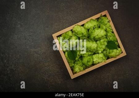 Holzschüssel mit frischem grünem Hopfen auf dem Tisch Stockfoto