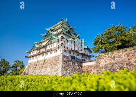 Burg von Nagoya und Skyline der Stadt Stockfoto