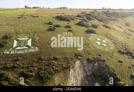 Eine Luftaufnahme der Fovant Badges in Wiltshire. Viele der Regimentsabzeichen wurden von Soldaten, die während des Ersten Weltkriegs in der Nähe von Fovant in den Kreidehang eingehauen wurden. Bilddatum: Mittwoch, 24. Oktober 2018. Stockfoto