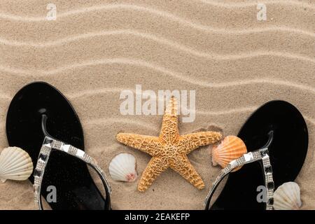 Strandmode, schwarze Flip-Flops und Seesterne stehen am Sandstrand. Stockfoto