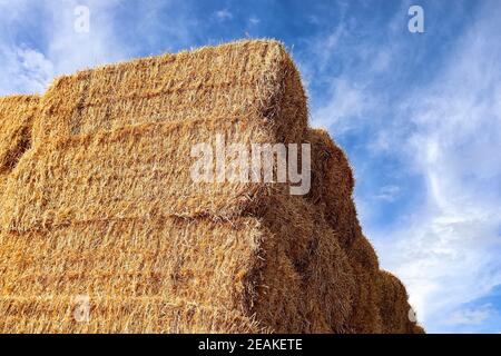 Blick auf einen Heuballenstapel gegen einen blauen Himmel Stockfoto