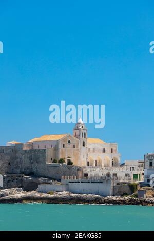 Altstadt Vieste, Region Apulien, Italien Stockfoto