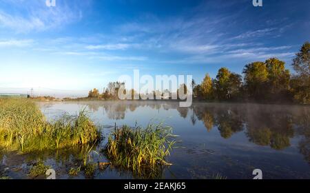 Seen im Herbstwald. Wald Herbstlandschaft, schöne Natur. Stockfoto