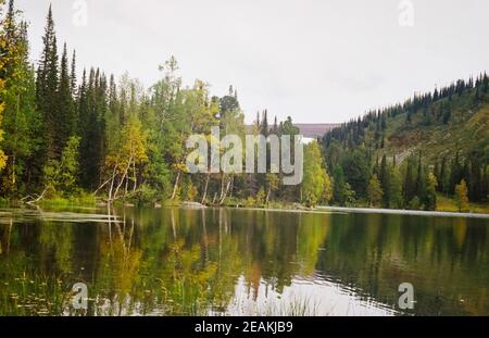 Fluss ist unter den Bergen und Wäldern des Altai. Die Natur des Altai Stockfoto