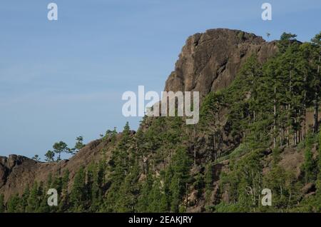 Morro del Visadero im Integralen Naturreservat von Inagua. Stockfoto