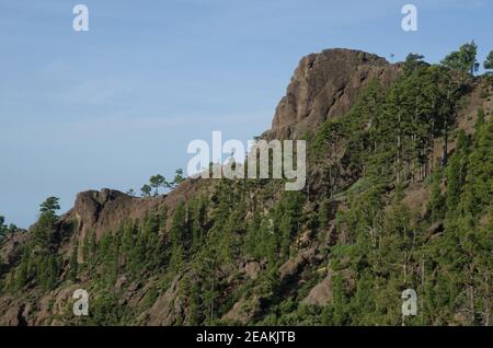 Morro del Visadero im Integralen Naturreservat von Inagua. Stockfoto