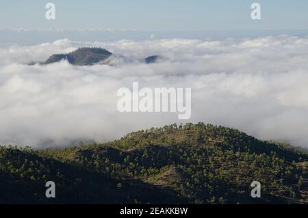 Integral Natural Reserve von Inagua und Tauro Berg im Hintergrund. Stockfoto