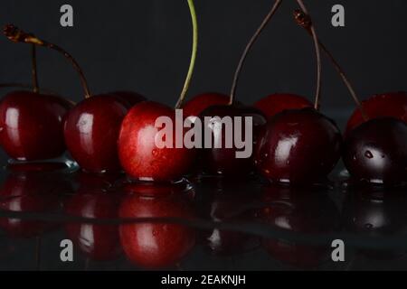 Kirschen, mit Wassertropfen auf schwarzem Hintergrund mit Spiegelung Stockfoto