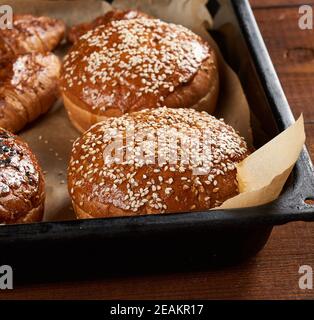 Gebackene Sesambrötchen auf braunem Pergamentpapier, Zutat für einen Hamburger Stockfoto