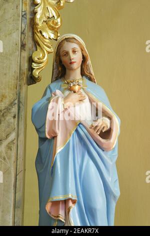 Unbeflecktes Herz Mariens, Statue auf dem Altar unserer Lieben Frau von Schmerzen in der Pfarrkirche St. Peter und Paul in Kasina, Kroatien Stockfoto