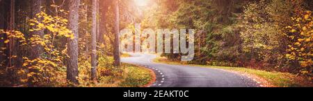 Asphaltstraße mit schönen Bäumen an den Seiten im Herbst Stockfoto