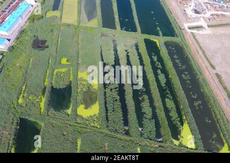 Die Kläranlage in Slavjansk-auf Kuban. Wasser für sewa Stockfoto