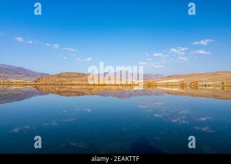 Goldener Herbst in den Wäldern des Altai. Gelbe Bäume im Herbst in der Nähe des Stausees. Stockfoto