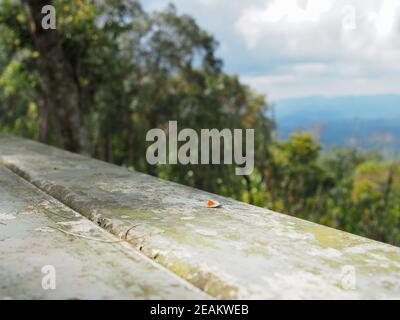 Der eiserne Tisch ist leer auf dem Hintergrund von Wald, Berg und Himmel. Stockfoto