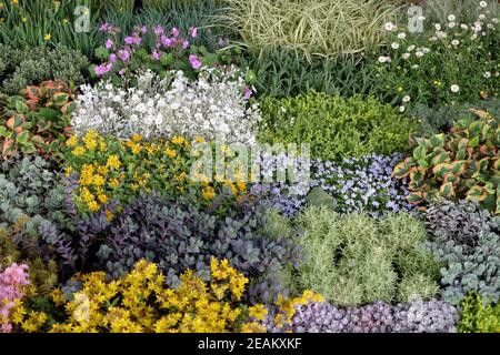 Blumen auf Floraart ausgestellt, 50 internationale Gartenausstellung in Zagreb, Kroatien Stockfoto