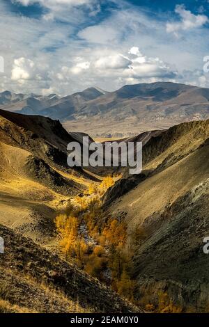 Die altai-Berge. Landschaft der Natur auf dem Altai-Gebirge und in den Schluchten zwischen den Bergen. Stockfoto