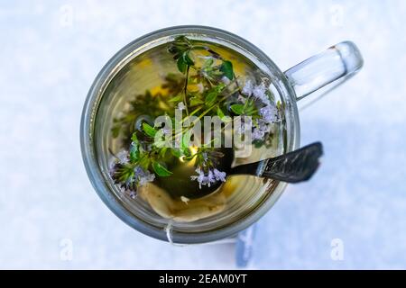 Durchsichtiger Becher mit Tee. Tee im Beutel zubereiten. Kräutertee zubereiten. Kräutertee. Stockfoto