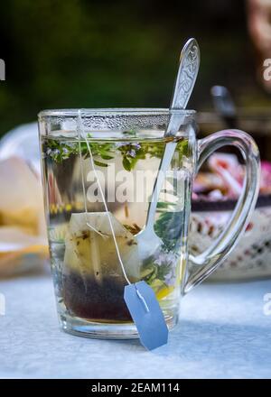 Durchsichtiger Becher mit Tee. Tee im Beutel zubereiten. Kräutertee zubereiten. Kräutertee. Stockfoto