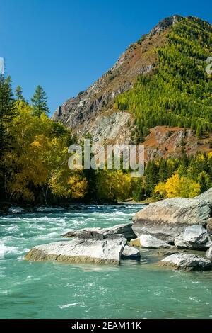 Bergfluss fließt über die Felsen. Die Flüsse sind altai. Die Natur ist altai. Stockfoto