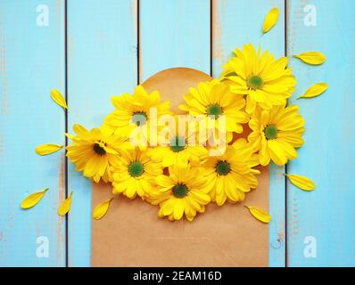 Gelbe Gänseblümchen Blumen im Umschlag auf blauem Holzhintergrund Stockfoto