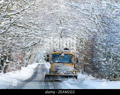 West Lothian, Schottland. Wetter: 10th Februar, 2021 Sturm Darcy: Ein Schneepflüge reinigt Schnee durch eine Allee von Bäumen in der Nähe von Stoneyburn, West Lothian, Schottland, Großbritannien. . Quelle: Ian Rutherford/Alamy Live News. Stockfoto